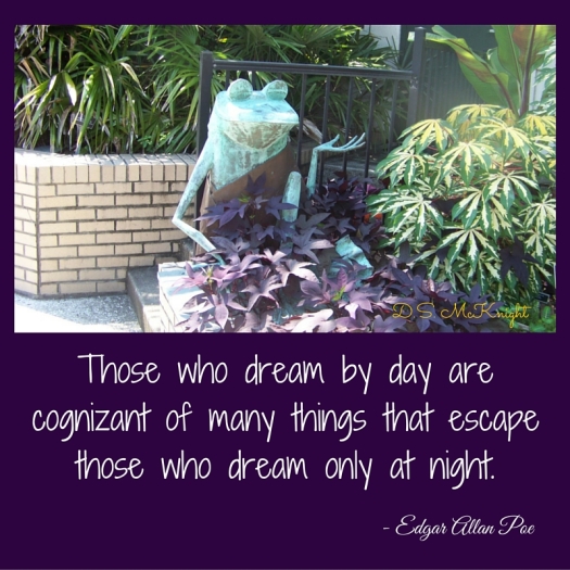 Those who dream by day are cognizant of (1)